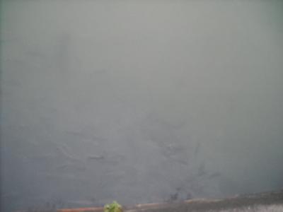20120515235359-dscn0014.jpg